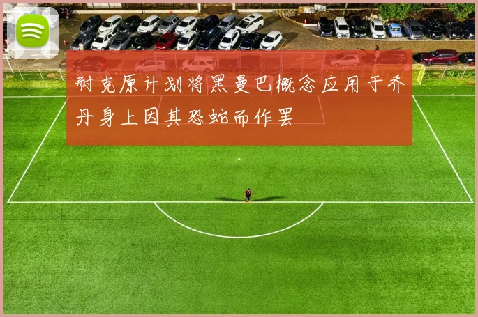 耐克原计划将黑曼巴概念应用于乔丹身上因其恐蛇而作罢